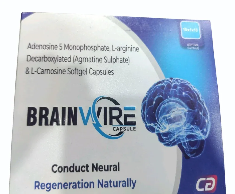 Audifort bonus eBook: The Brainwire Regeneration Blueprint